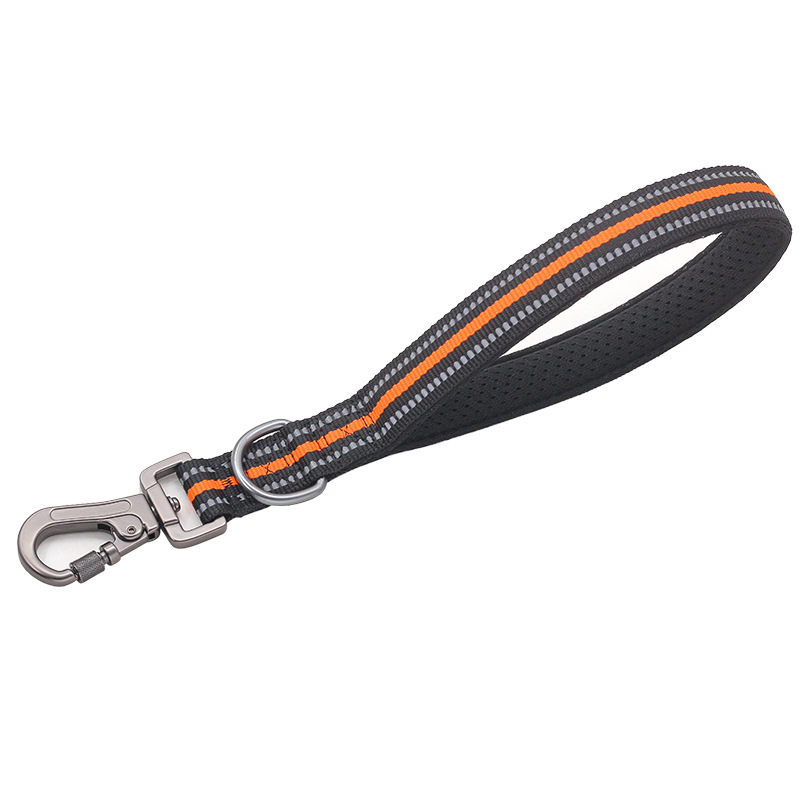 Heavy duty pet leash2