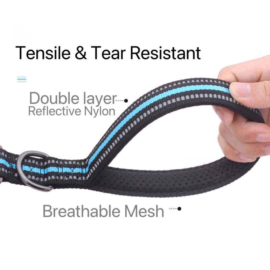 Heavy duty pet leash5