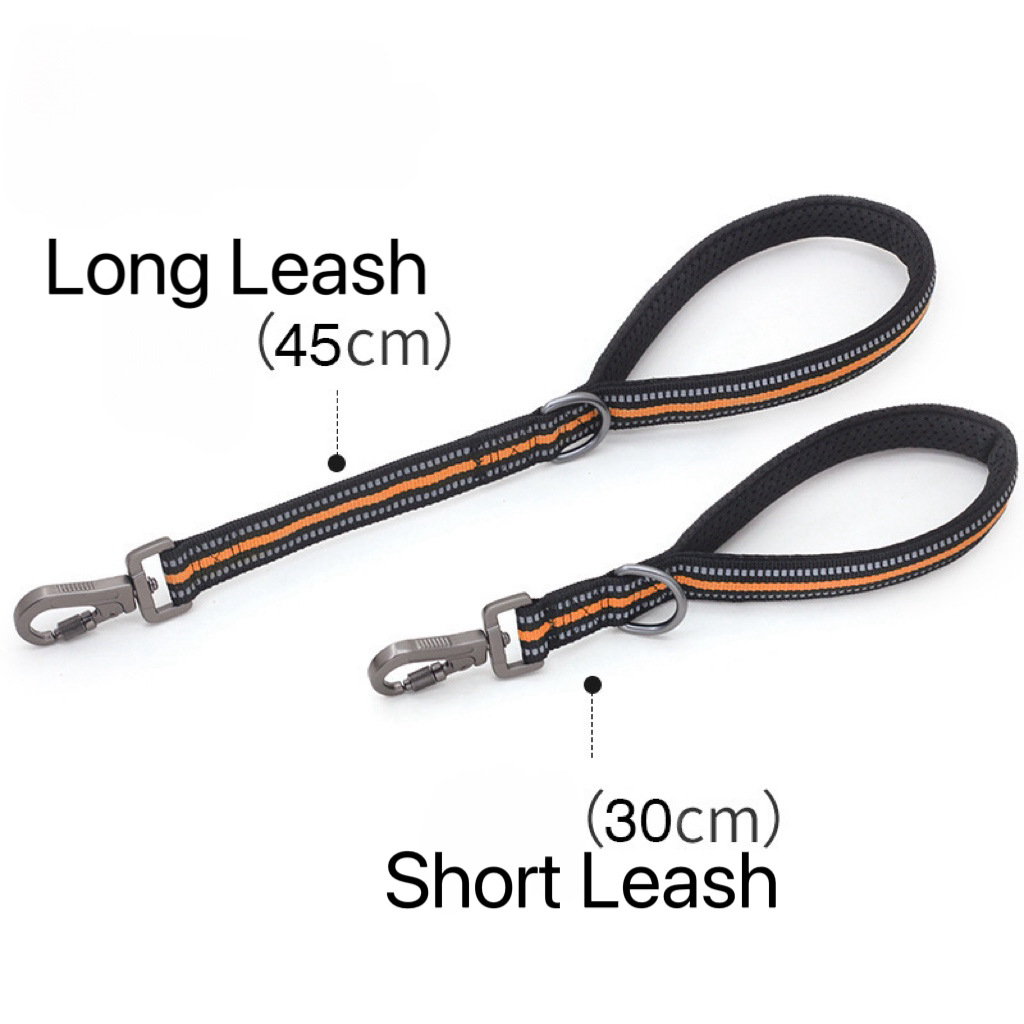 Heavy duty pet leash7