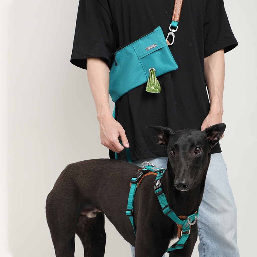 dog harness and leash scenario