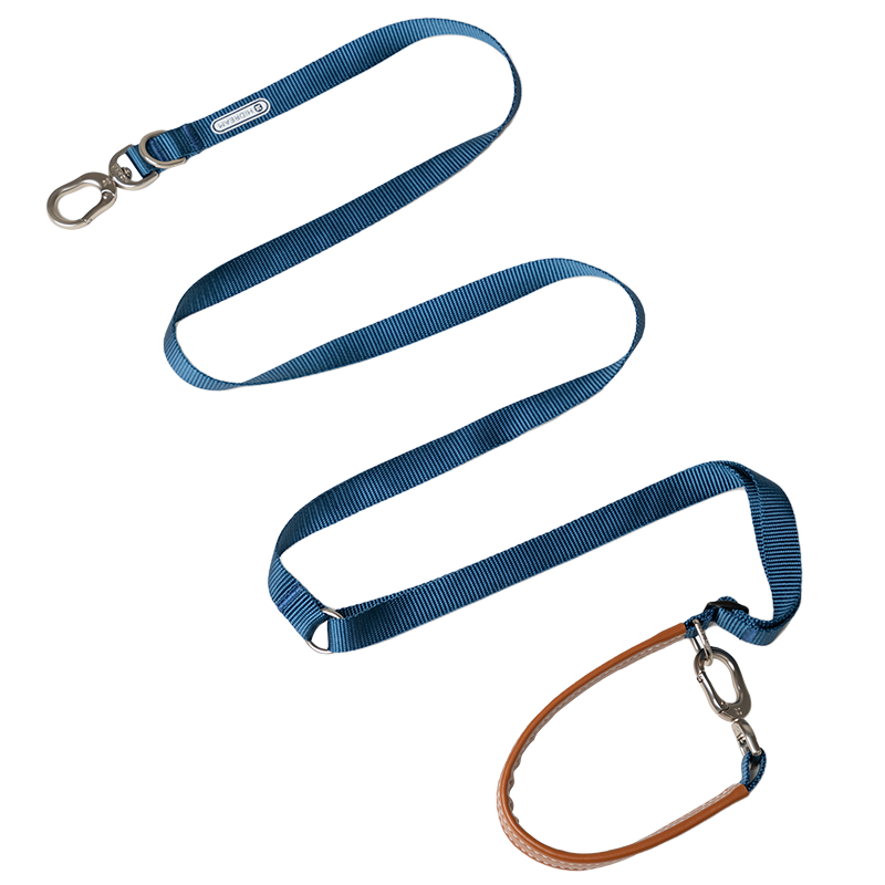 pet leash-blue