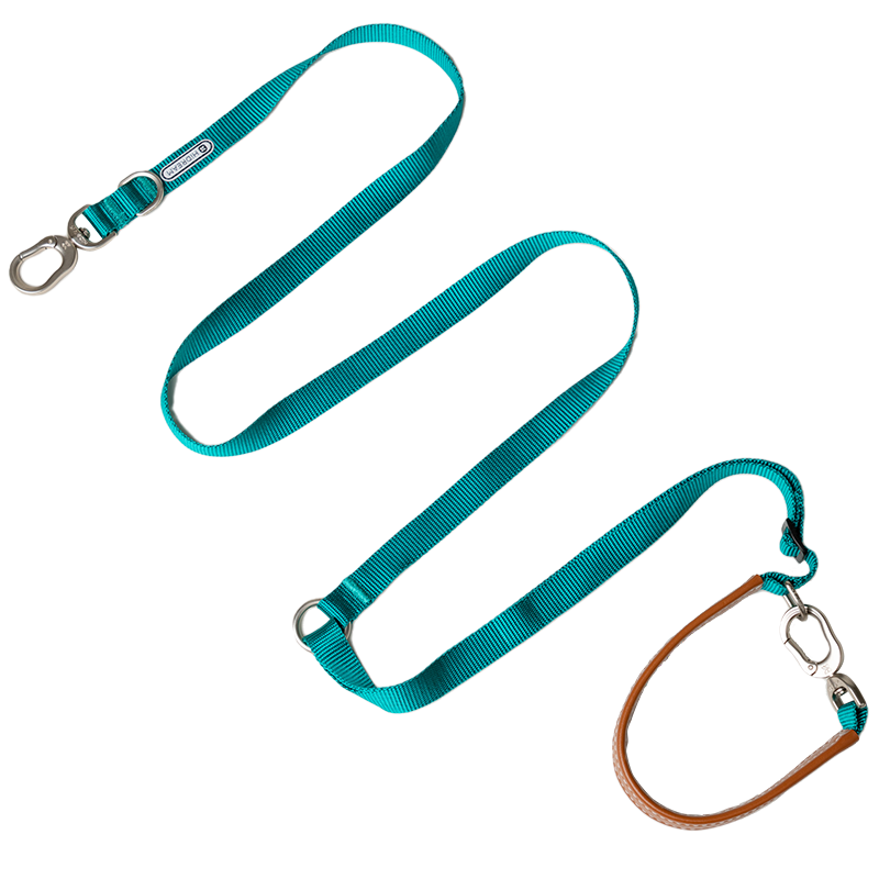 pet leash-green