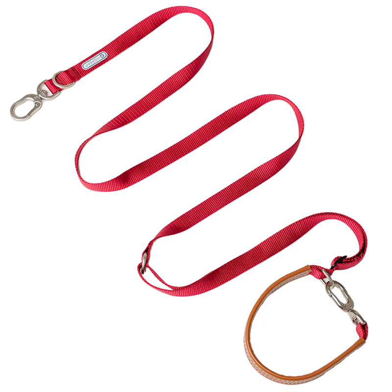 pet leash-red